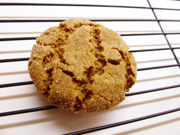 Ginger Sparkle "test" Cookie Ginger Sparkel "test" Cookie