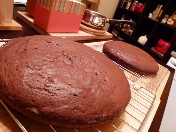 Double Dark Chocolate Raspberry Cake - just the cake Double Dark Chocolate Raspberry Cake - just the cake